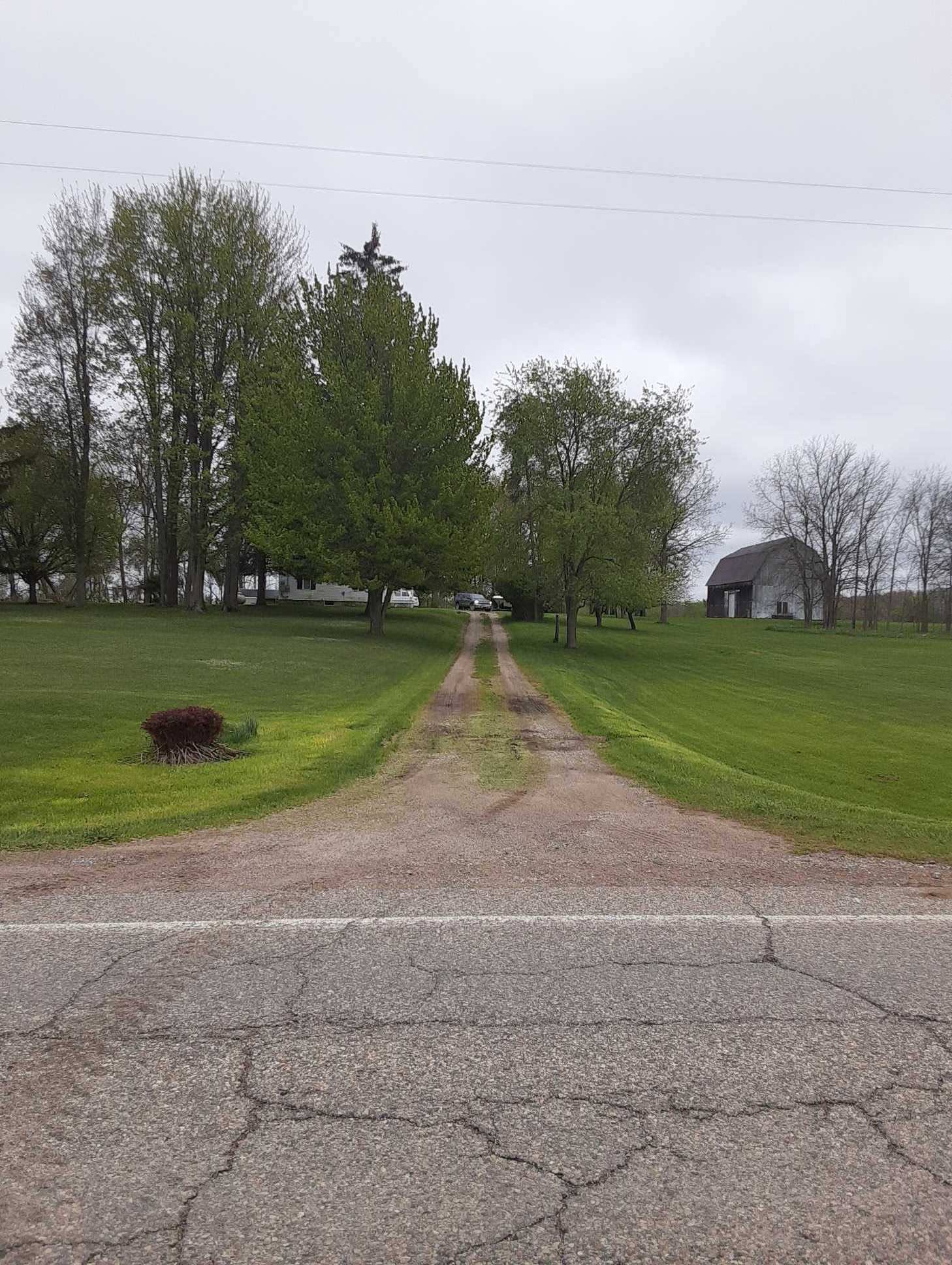 Land Yard and Dirt Services project photo 7